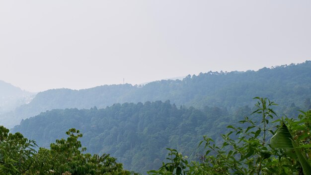 Montañas naturales frescas para ver durante el día