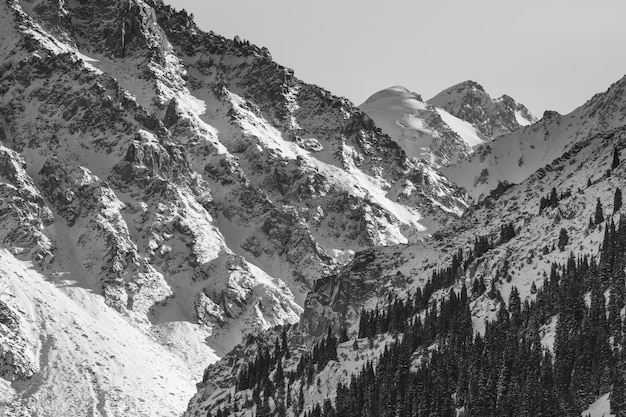 montañas nevadas en blanco y negro