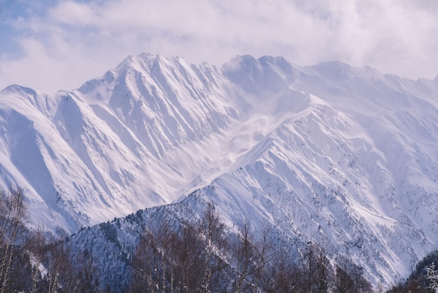 Montañas nevadas y brumosas