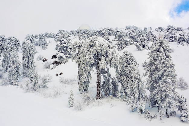 Montañas nevadas de invierno