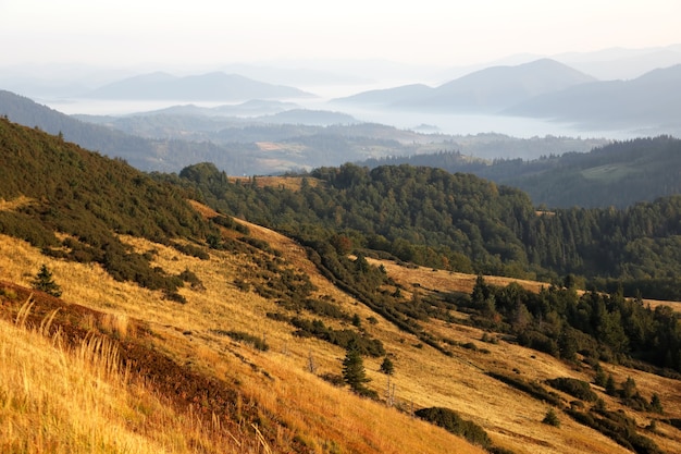 Montañas en la niebla antes del amanecer del sol