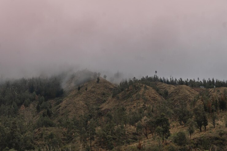 Montañas de niebla azul por la mañana temprano con laderas y pinos y árboles coloridos invierno la