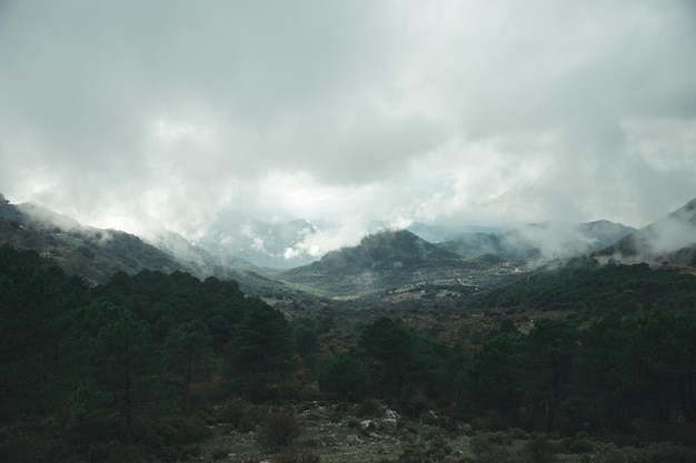 Montañas con niebla en un día lluvioso