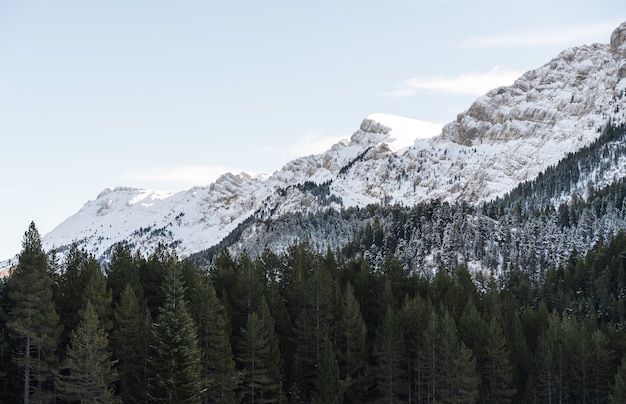 Montañas con nieve y algunos árboles en los Alpes