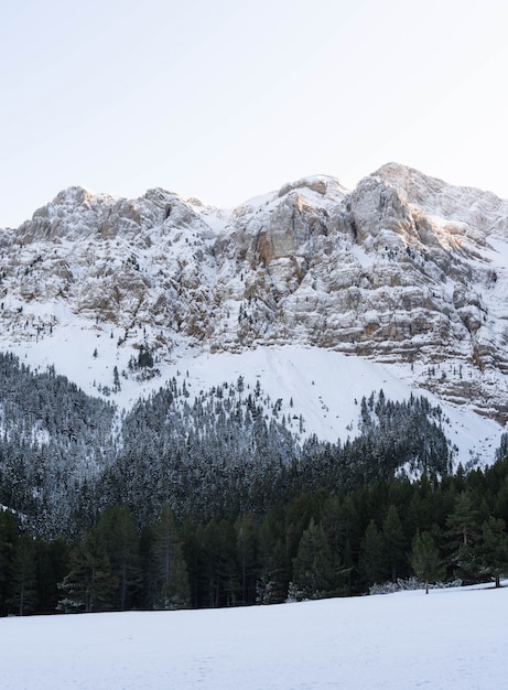 Foto montañas con nieve y algunos árboles en los alpes