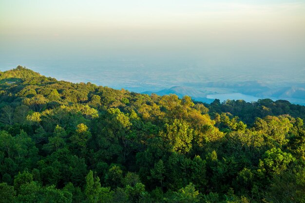 Montañas en las nubes al amanecer en verano Vista aérea del pico de la montaña en la niebla