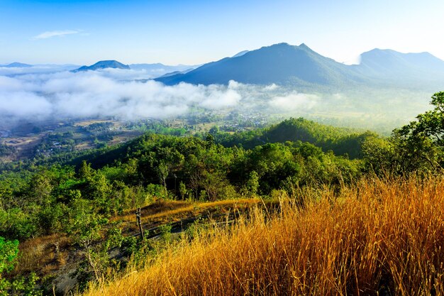 Montañas en las nubes al amanecer en verano Vista aérea del pico de la montaña en la niebla