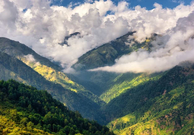 Montañas en nubes bajas en un día soleado de verano. Nepal. Vista aérea de las colinas de la montaña con árboles verdes. Precioso paisaje. Vista superior de las montañas del Himalaya con bosque. Naturaleza. Bosques en primavera