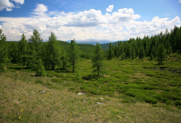 Montañas del oeste de Sayan