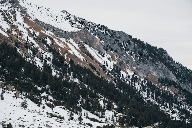 Montañas paisajes de invierno, piedra y árboles