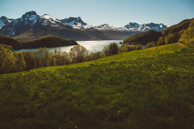 Montañas y paisajes de Noruega en las islas Lofoten Paisaje escandinavo natural