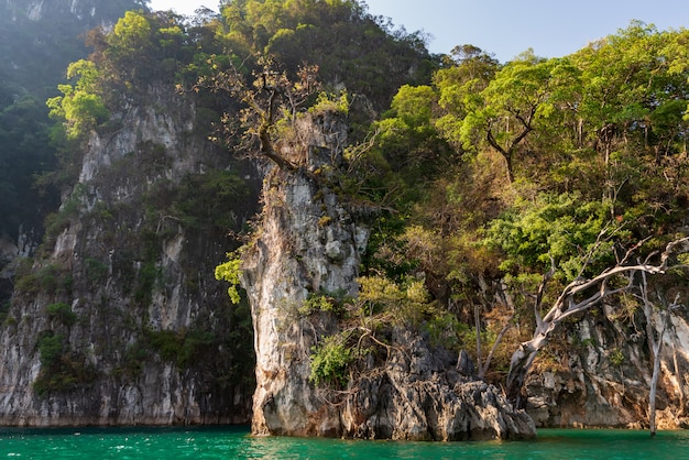 Montañas de piedra caliza con árboles en el mar en Tailandia