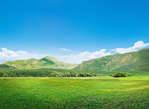 Montañas y pradera