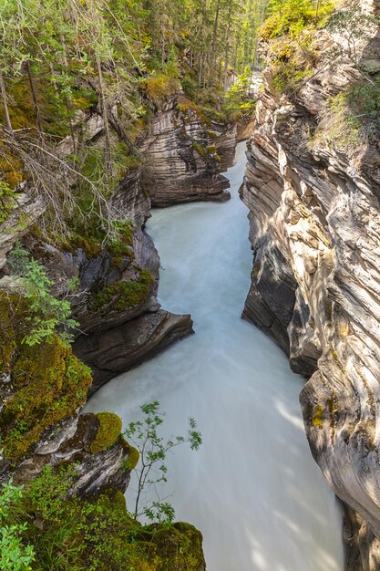 Montañas, ríos y cascadas conforman magníficos paisajes. Parque Jaspe. Montañas Rocosas de Canadá. Cataratas de Athabasca. Concepto de viajes, turismo ecológico y fotográfico.