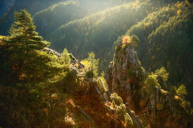 Montañas y rocas con árboles verdes y amarillos al amanecer Valle GilSu en el norte del Cáucaso Rusia
