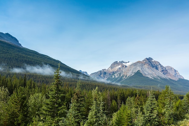 Montañas rocosas canadienses por la mañana en jasper canada