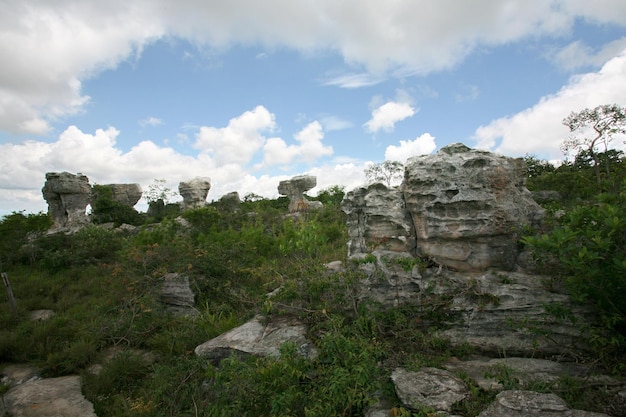 Montañas rocosas con pocos árboles.