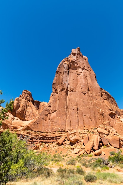 Montañas rocosas en el valle. Vida silvestre en el valle del desierto.