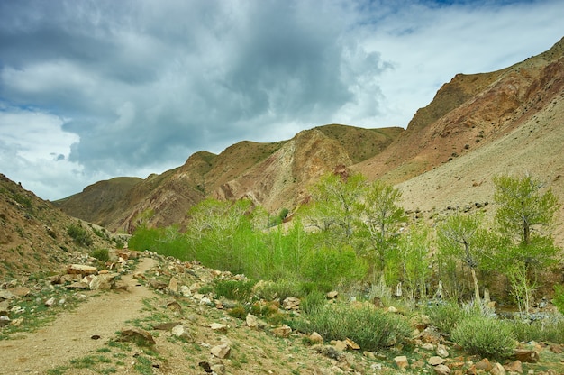 Montañas rojas en el valle Kyzyl-Chin del río Chagan-Uzun. en Altay.