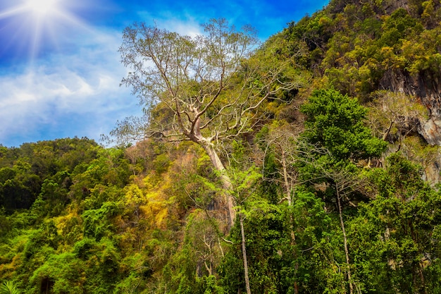 Montañas y sol en Tailandia