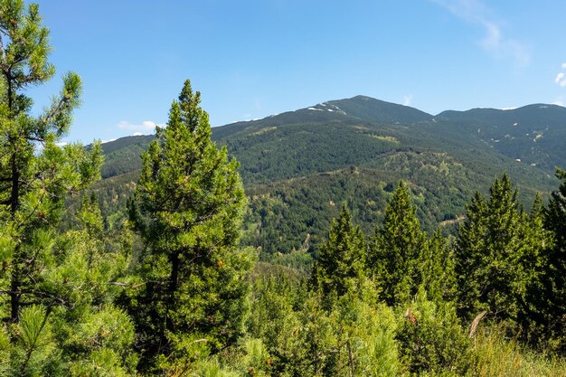 las montañas son visibles desde la parte superior del sendero