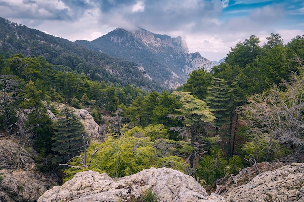 Las montañas Taurus en Turquía concepto de parque nacional