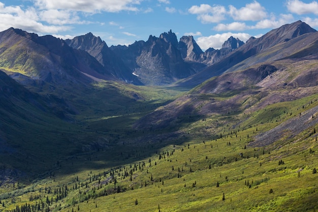 Montañas en tundra