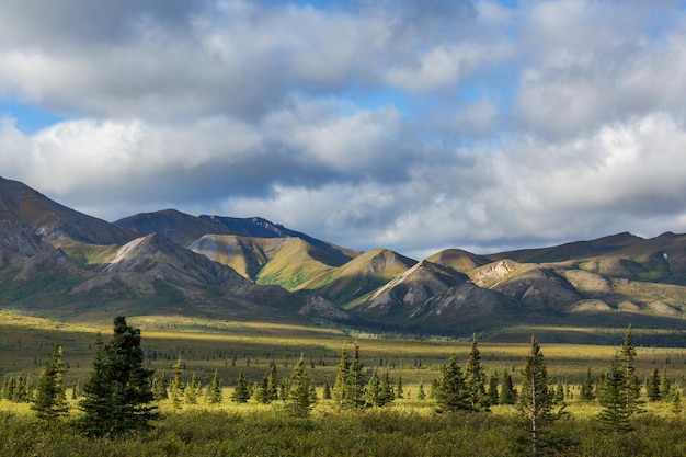 Montañas en tundra