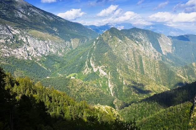 Foto montañas de verano