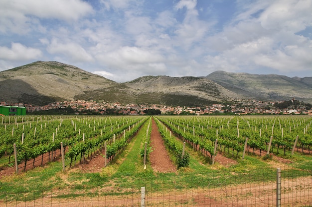 Montañas verdes de Bosnia y Herzegovina