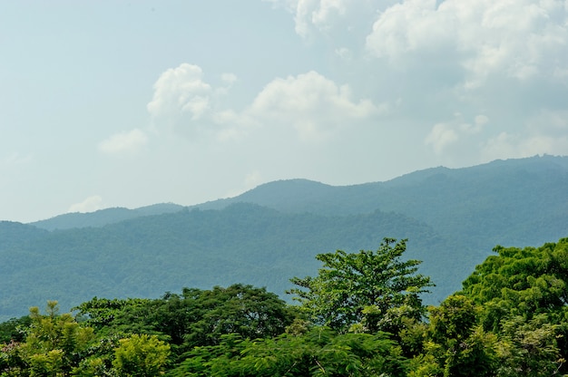 Montañas verdes enormes en los llanos del invierno, concepto del turismo de la montaña con el espacio de la copia.