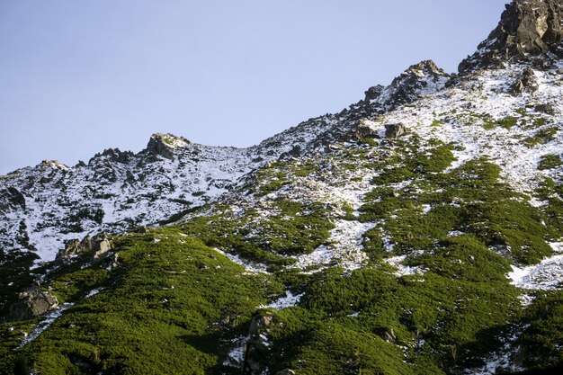 Montañas verdes y nevadas en los Tatras polacos