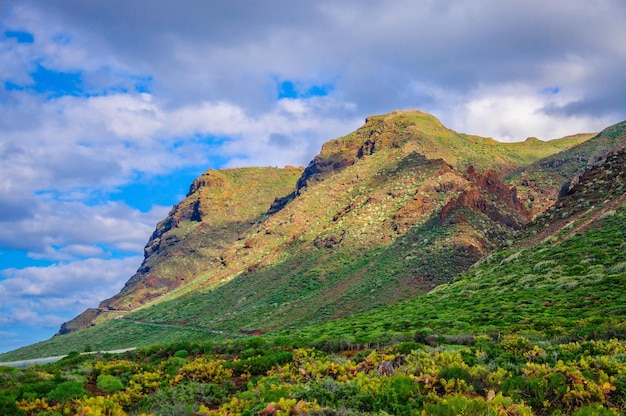 Montañas verdes en Tenerife Islas Canarias