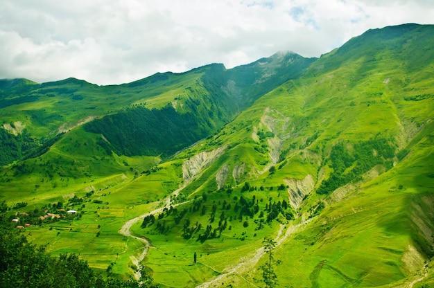 Montañas verdes