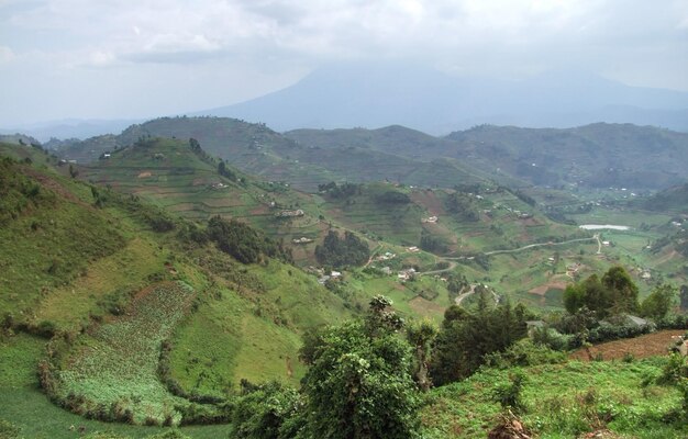 Las montañas Virunga en un ambiente tormentoso