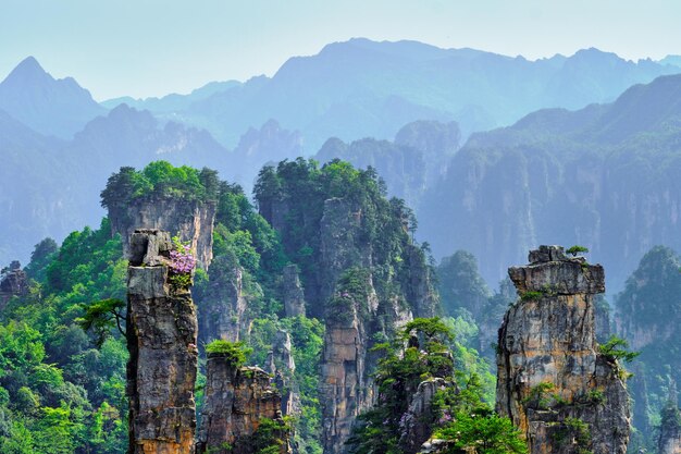 Las montañas Zhangjiajie, China