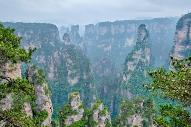 Foto montañas zhangjiajie, china