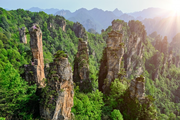 Montañas Zhangjiajie, China