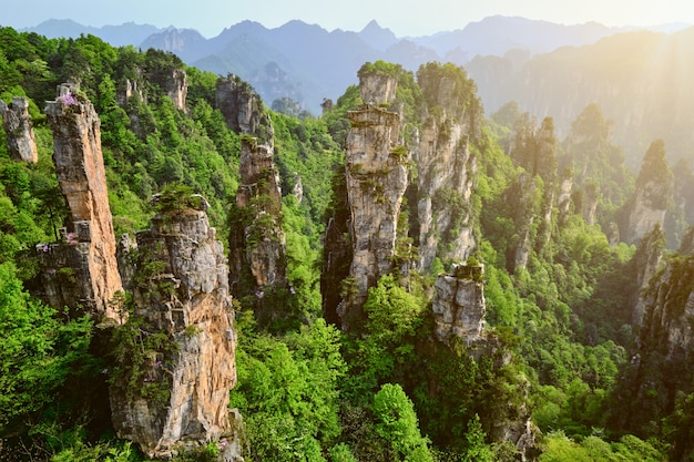 Montañas Zhangjiajie, China