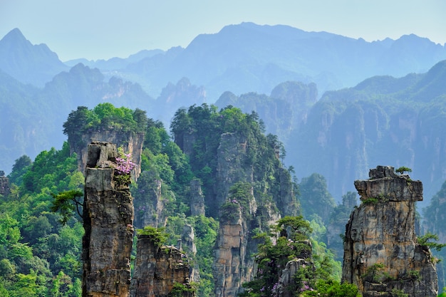 Montañas Zhangjiajie, China