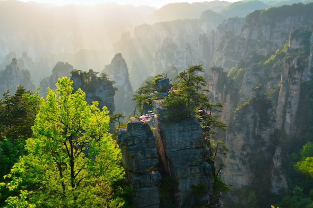 Montañas Zhangjiajie, China