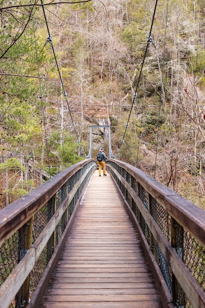 Foto montañero caminando sobre un puente colgante de madera en el bosque