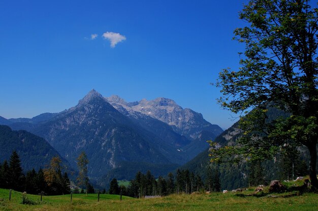 Montanha alta e pontiaguda