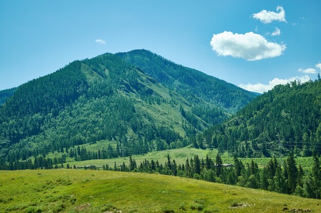 Montanha Altai. Vale Chuisky Katyn