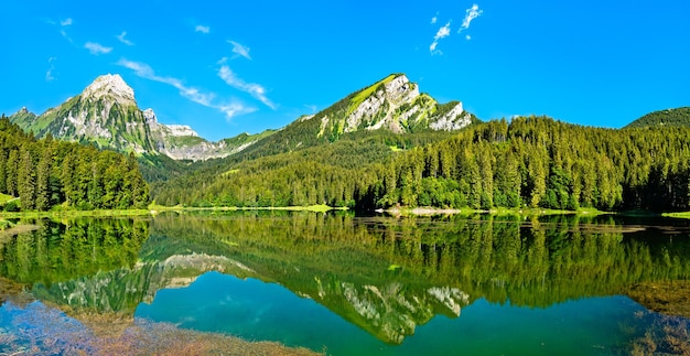 Montanha Brunnelistock no lago Obersee nos Alpes suíços