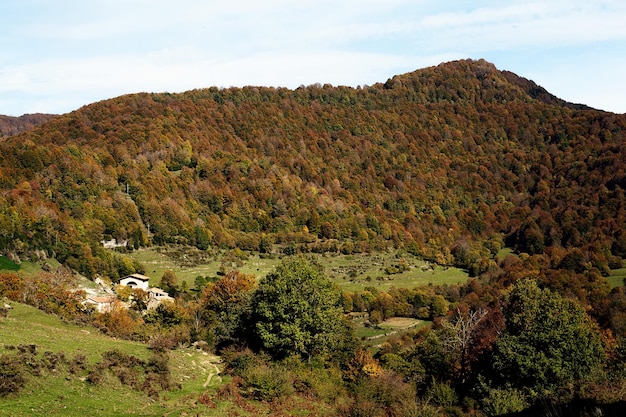 Montanha coberta por uma floresta de faias