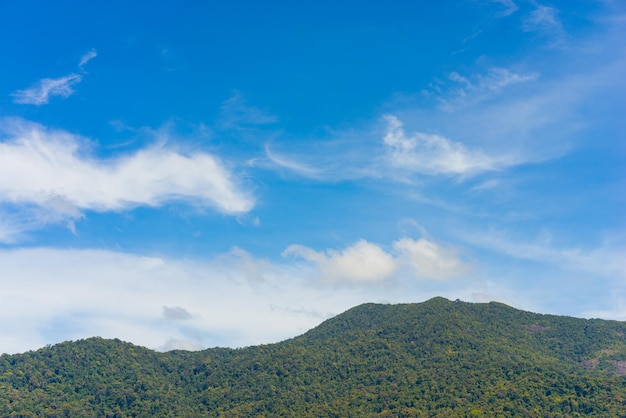 Montanha de floresta verde com céu azul