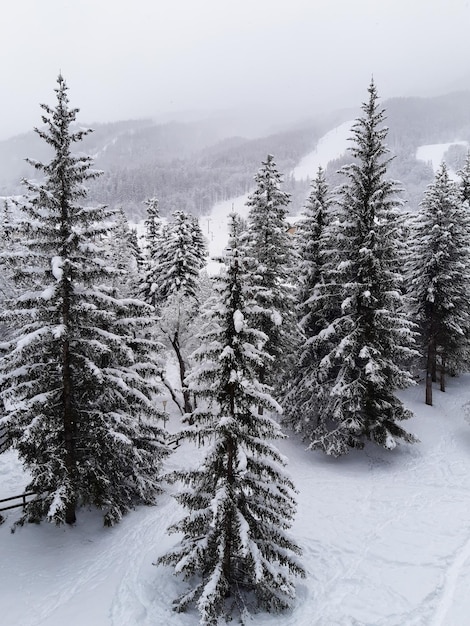 Montanha de inverno na paisagem dos Alpes franceses com árvores florestais cobertas de neve fresca branca