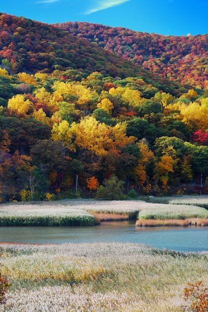 Montanha de outono com lago