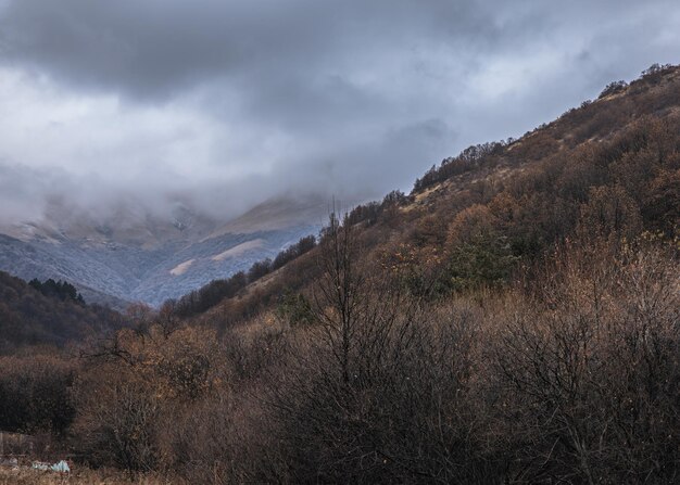 Montanha de outono com neblina